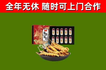 丰都县回收冬虫夏草价格